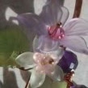 Meet your Posher, Arlene